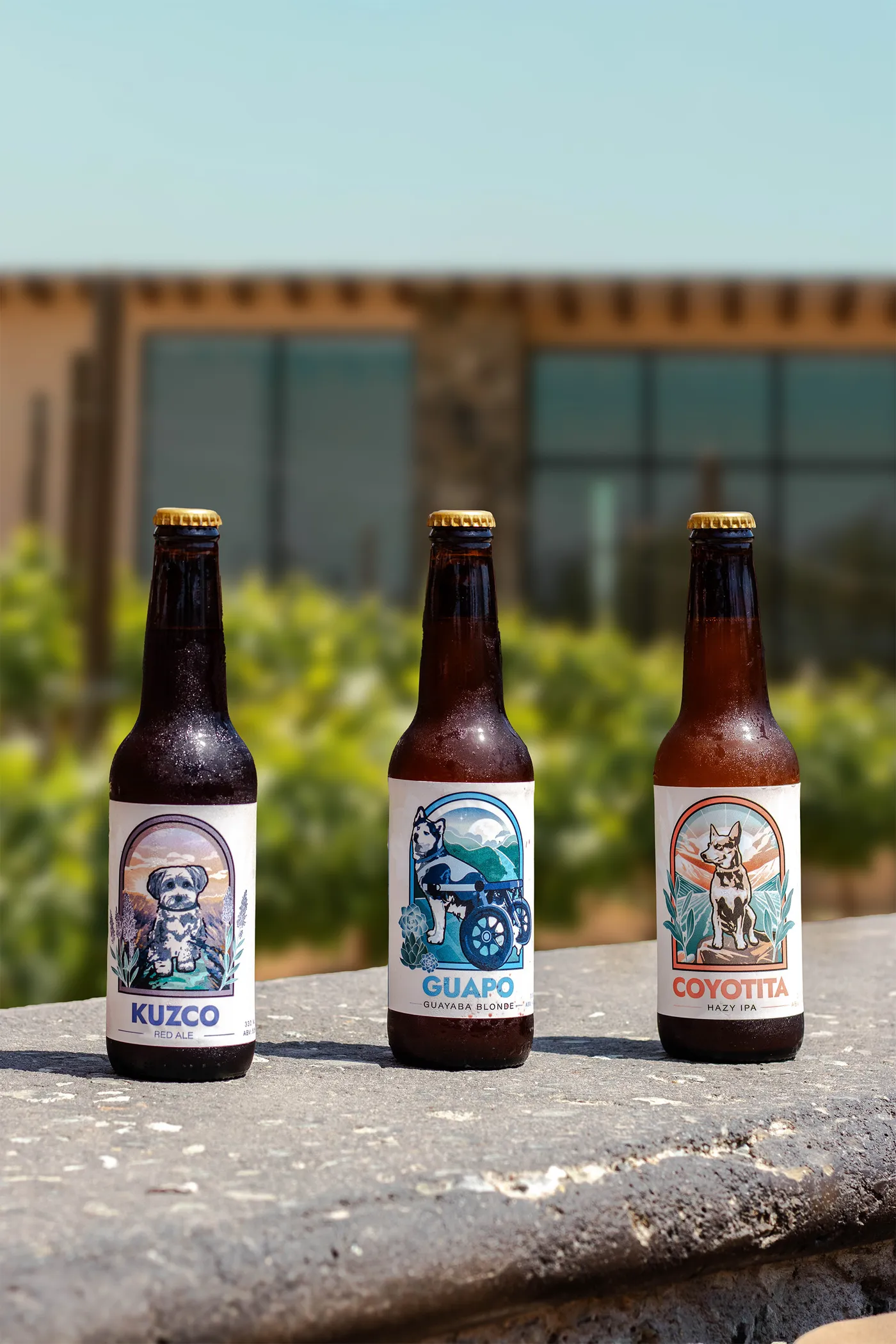 Coyotita, Guapo y Kuzco, las tres cervezas a beneficio del santuario canino La Manada Feliz