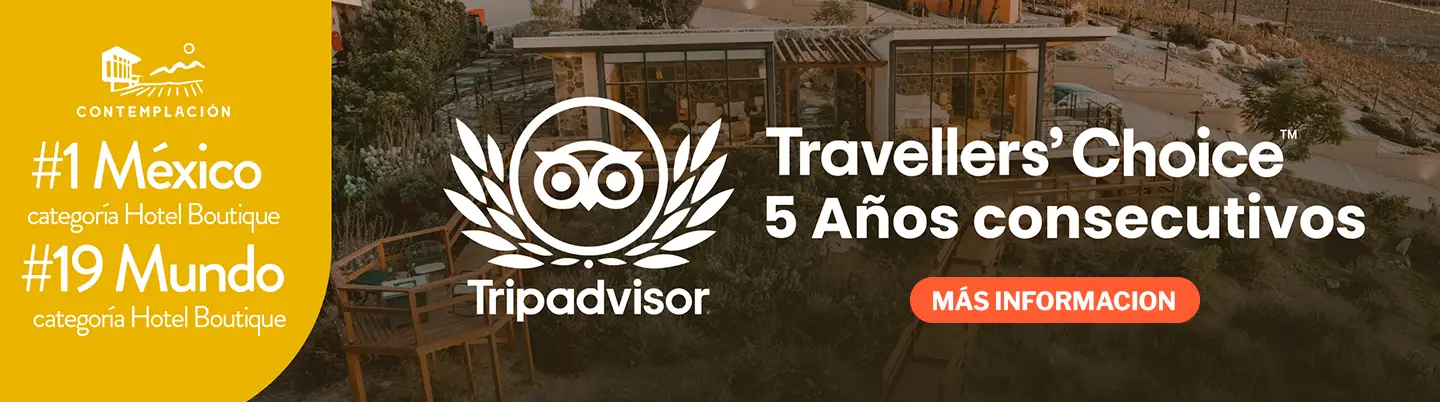 Banner_Contemplacion